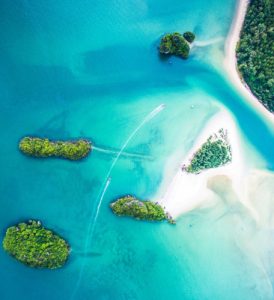 our service 03 274x300.jpg